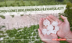 Ordu Güneş Beklerken Dolu ile Karşılaştı