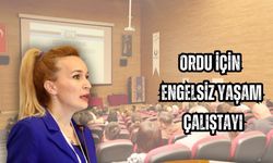 Ordu İçin Engelsiz Yaşam Çalıştayı