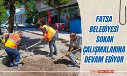 Fatsa Belediyesi sokak çalışmalarına devam ediyor