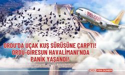 Ordu'da uçak kuş sürüsüne çarptı!