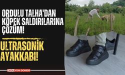 Ordulu Talha'dan Köpek Saldırılarına Çözüm! Ultrasonik Ayakkabı!