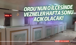 Ordu'nun o ilçesinde vezneler hafta sonu da açık olacak!