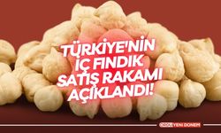Türkiye'nin iç fındık satış rakamı açıklandı!