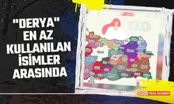 "Derya" En Az Kullanılan İsimler Arasında