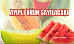 Ayıplı ürün sayılacak!