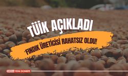 Fındık Üreticisi Rahatsız Oldu!