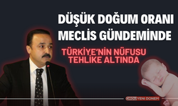 Düşük Doğum Oranı Meclis Gündeminde