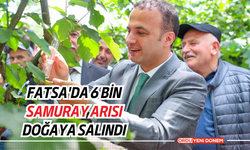 Fatsa'da 6 bin samuray arısı doğaya salındı