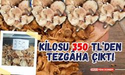 Kilosu 350 TL’den Tezgâha Çıktı