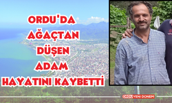 Ordu'da ağaçtan düşen adam hayatını kaybetti