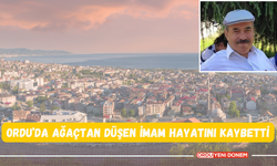 Ordu’da Ağaçtan Düşen İmam Hayatını Kaybetti