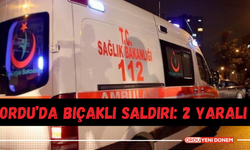 Ordu’da Bıçaklı Saldırı: 2 Yaralı