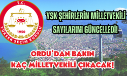 YSK Şehirlerin Milletvekili sayılarını güncelledi! Ordu'dan bakın kaç milletvekili çıkacak!