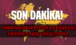 Son Dakika! Hakkari Belediyesi Eş Başkanı Mehmet Akış Gözaltında