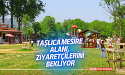 Taşlıca mesire alanı, ziyaretçilerini bekliyor