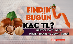 Ağustos Gelirken Üretici 200 Dedi! Piyasa Ne Cevap Verdi? 23 Haziran 2024 fındık fiyatları!