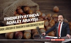 Fındık Fiyatında Adalet Arayışı! Ordu, Giresun ve Trabzon'a Fark Ödemesi Talebi