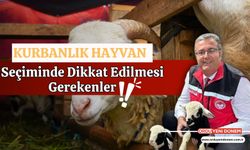 Kurbanlık Hayvan Seçiminde Dikkat Edilmesi Gerekenler!