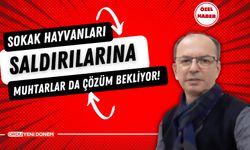 Sokak hayvanları saldırılarına, muhtarlar da çözüm bekliyor!