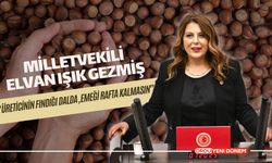 Vekil Gezmiş “Üreticinin Fındığı Dalda, Emeği Rafta Kalmasın”