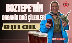 Boztepe'nin Organik Dağ Çilekleri Reçel Oldu