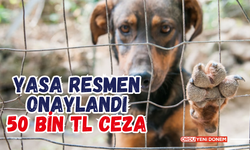 Yasa Resmen Onaylandı: 50 Bin TL Ceza