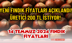 Yeni fındık fiyatları açıklandı! Üretici 200 TL istiyor! 14 Temmuz 2024 Fındık Fiyatları