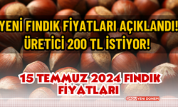 Üretici resti çekti! 200 TL istiyor! 15 temmuz 2024 fındık fiyatları