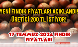 Yeni fındık fiyatları açıklandı! Üretici 200 TL istiyor! 17 Temmuz 2024 Fındık Fiyatları