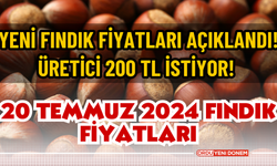 Yeni fındık fiyatları açıklandı! Üretici 200 TL istiyor! 20 Temmuz 2024 Fındık Fiyatları