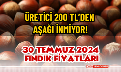 30 Temmuz 2024 Fındık Fiyatları