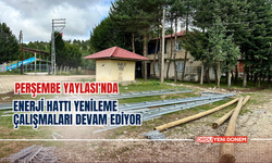 Aybastı Perşembe Yaylası'nda Enerji Hattı Yenileme Çalışmaları Devam Ediyor