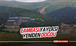 Çambaşı Yaylası yeniden doğdu