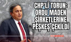 CHP'li Torun: Ordu Maden Şirketlerine Peşkeş Çekildi