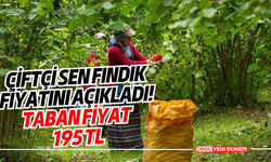 Çiftçi Sen Fındık Fiyatını Açıkladı! Taban Fiyat 195 TL