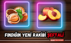 Fındığın Yeni Rakibi Şeftali