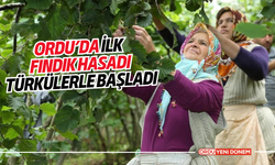 Ordu’da İlk Fındık Hasadı Türkülerle Başladı