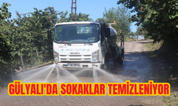 Gülyalı'da sokaklar temizleniyor