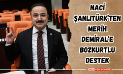 Naci Şanlıtürk’ten Merih Demiral’e Bozkurtlu Destek