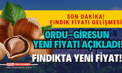 Ordu-Giresun fındık fiyatlarını açıkladı! 26 temmuz 2024 fındık fiyatları