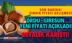 ORDU-GİRESUN  YENİ FİYATI AÇIKLADI! İşte fındık fiyatları