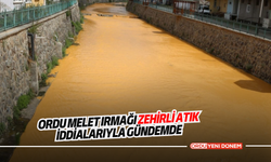 Ordu Melet Irmağı Zehirli Atık İddialarıyla Gündemde