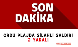 Ordu Plajda Silahlı Saldırı: 2 Yaralı