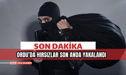 Ordu’da Hırsızlar Son Anda Yakalandı