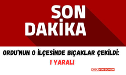 Ordu’nun O İlçesinde Bıçaklar Çekildi: 1 Yaralı