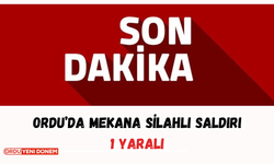 Ordu’da Mekana Silahlı Saldırı: 1 Yaralı