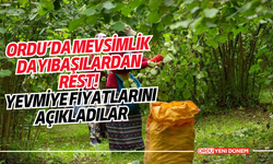 Ordu’da Mevsimlik Dayıbaşılardan Rest! Yevmiye Fiyatlarını Açıkladılar