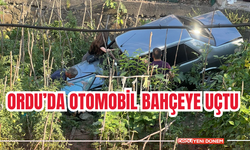 Ordu’da Otomobil Bahçeye Uçtu! Karı Koca Yaralandı