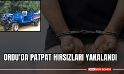 Ordu’da Patpat Hırsızları Yakalandı