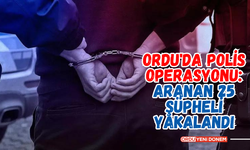 Ordu'da Polis Operasyonu: Aranan 25 Şüpheli Yakalandı